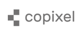 company name
